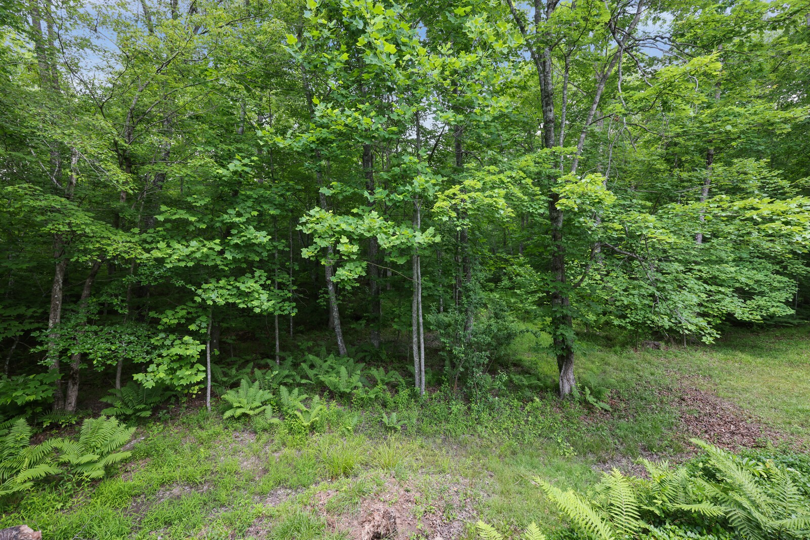 1904 Indian Park Rd