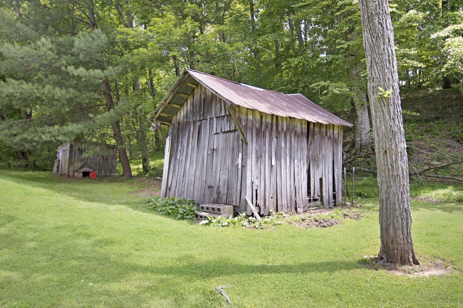 175 Moore Rd