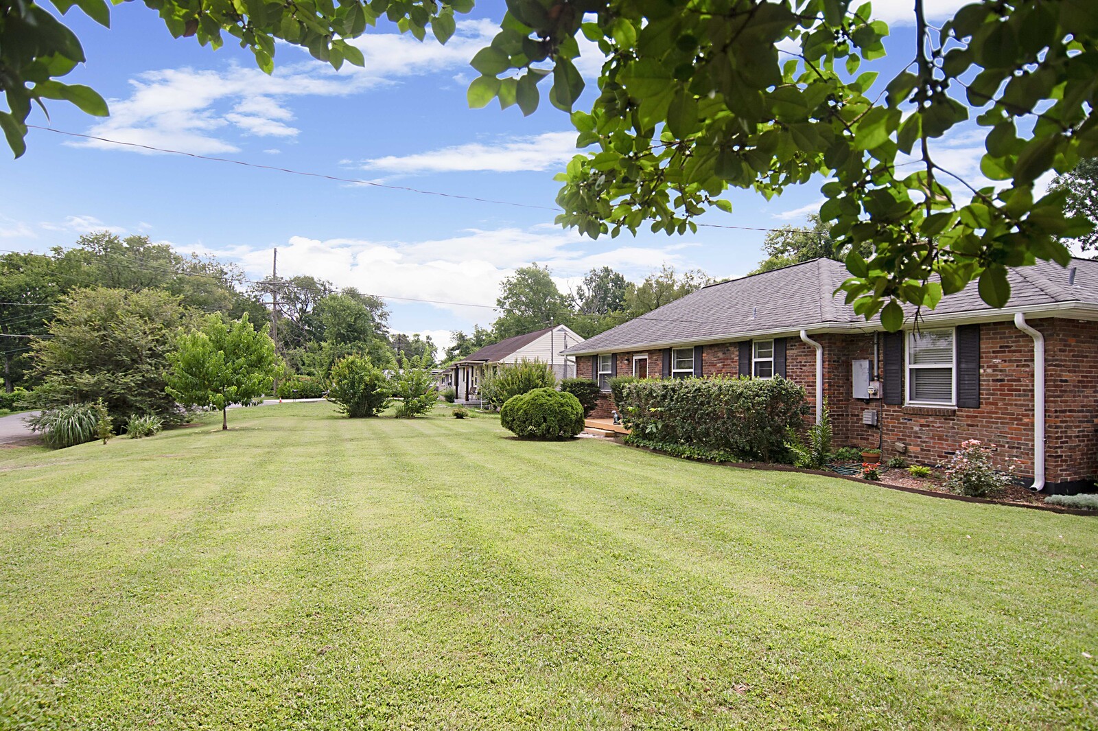 3399 Mimosa Dr