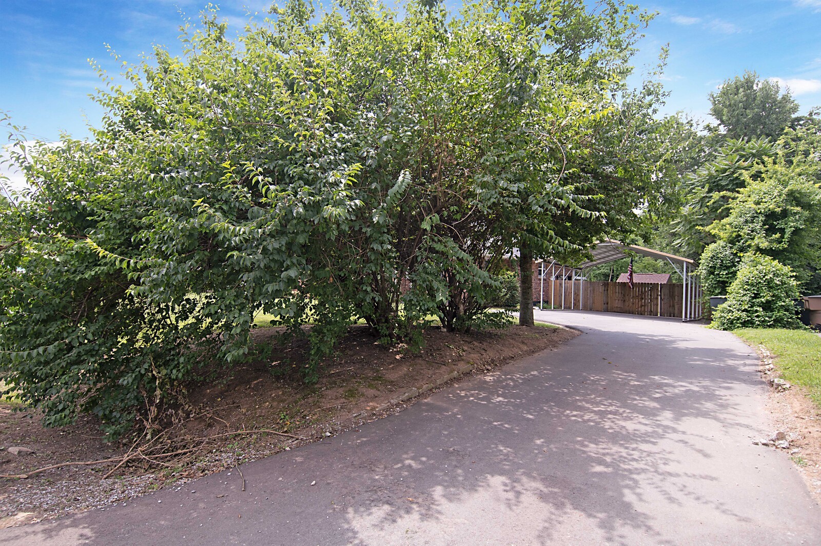 3399 Mimosa Dr