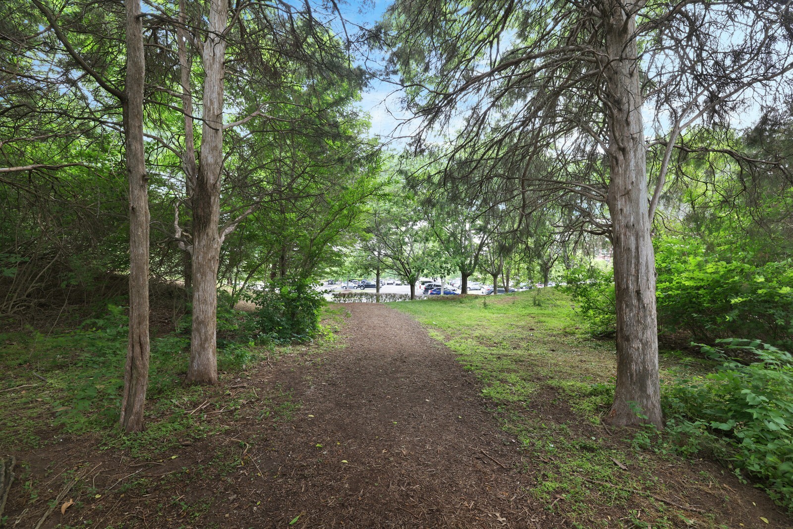 804 Gadsden Pl