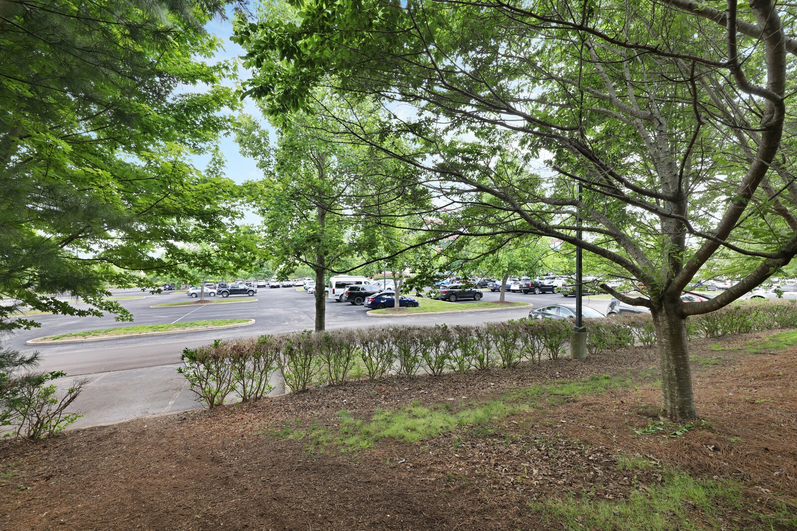 804 Gadsden Pl
