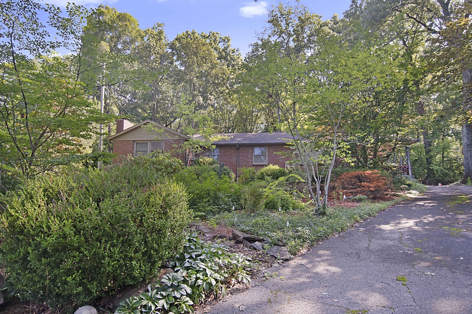 936 Davidson Dr
