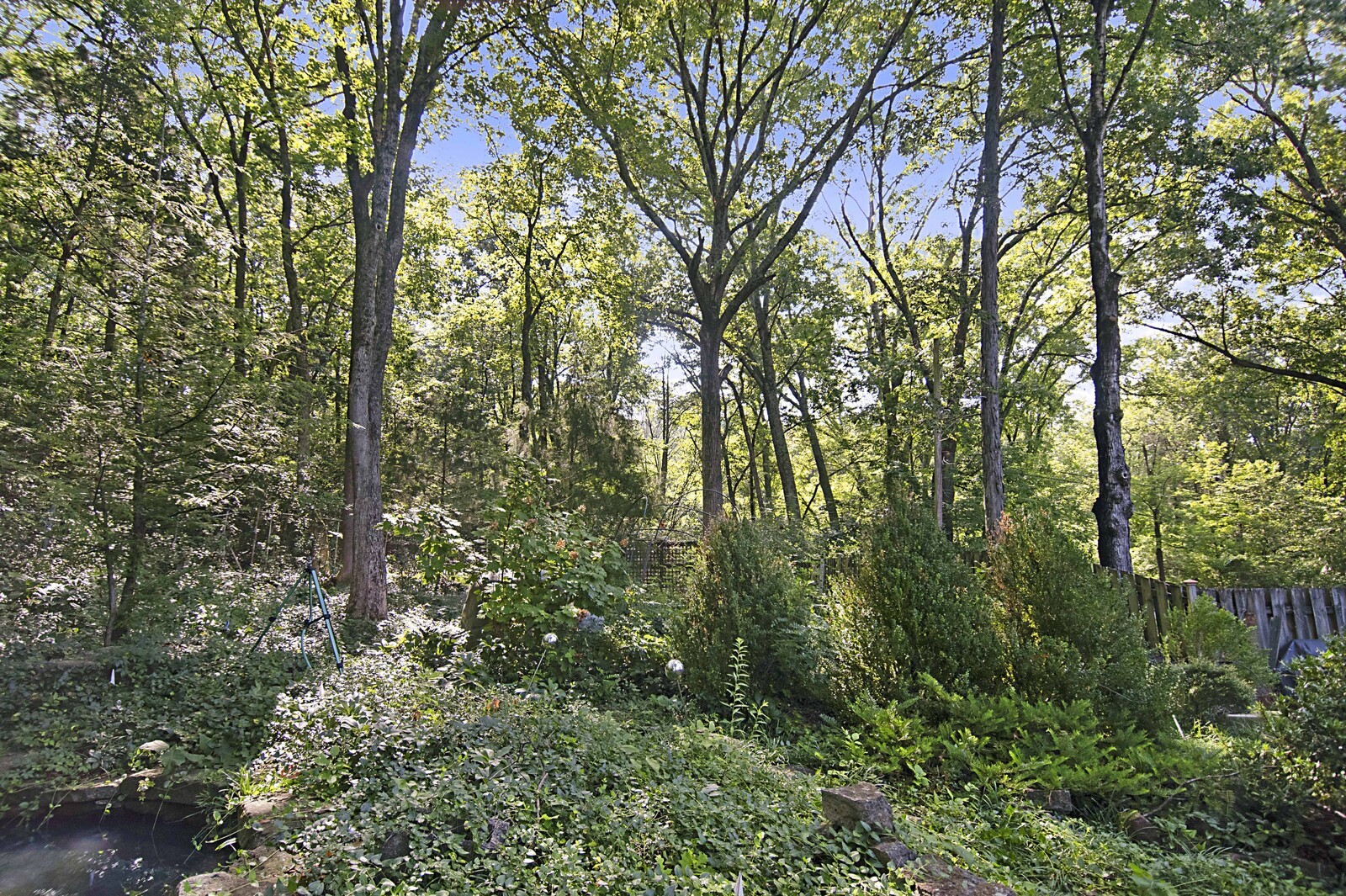 936 Davidson Dr