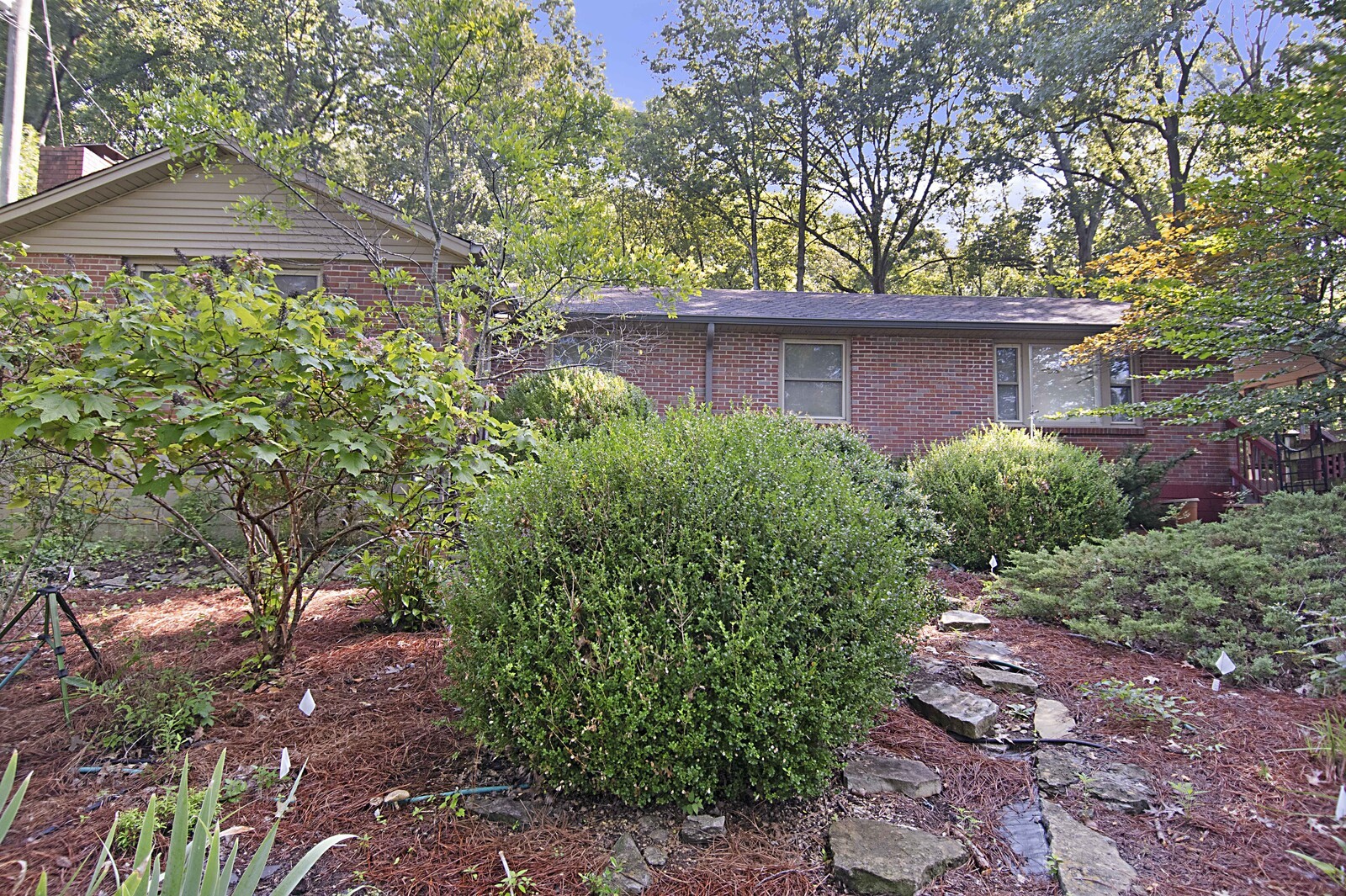 936 Davidson Dr