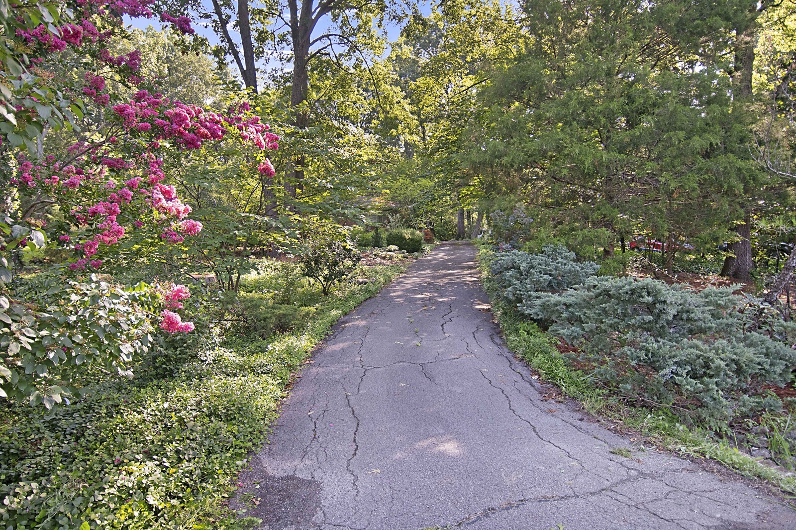 936 Davidson Dr