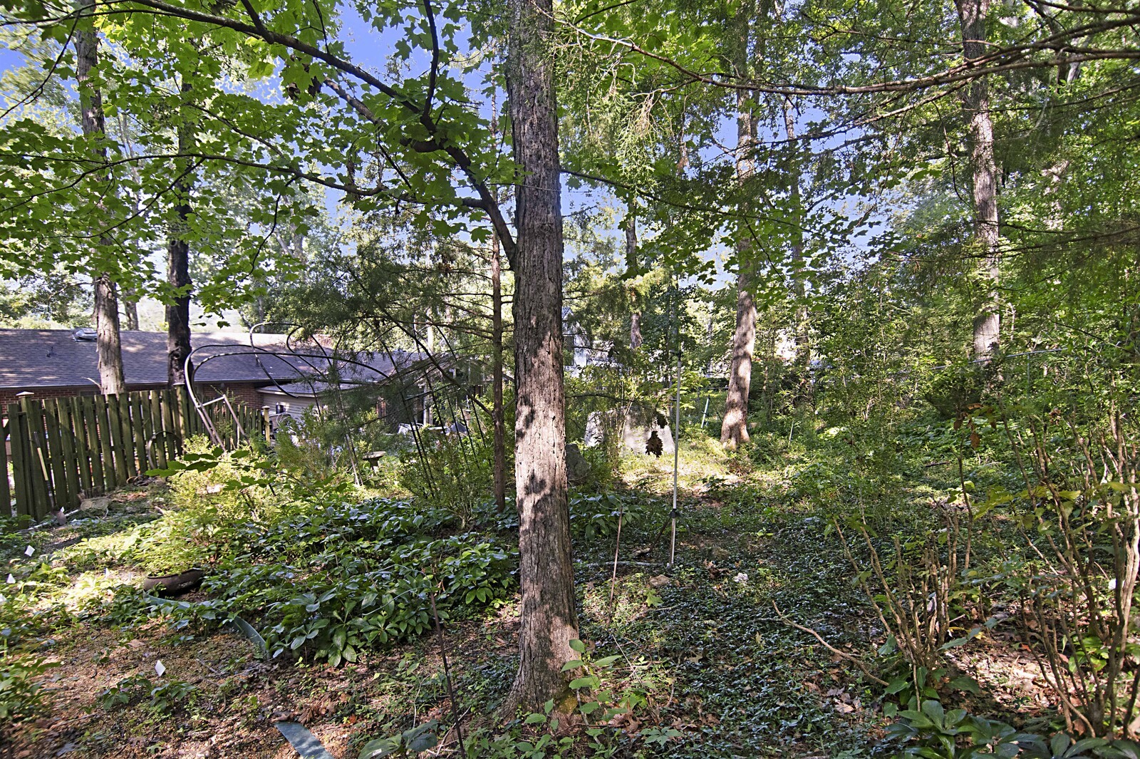 936 Davidson Dr