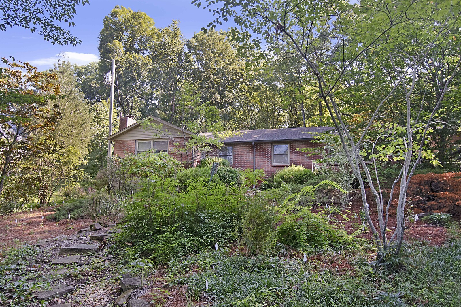 936 Davidson Dr