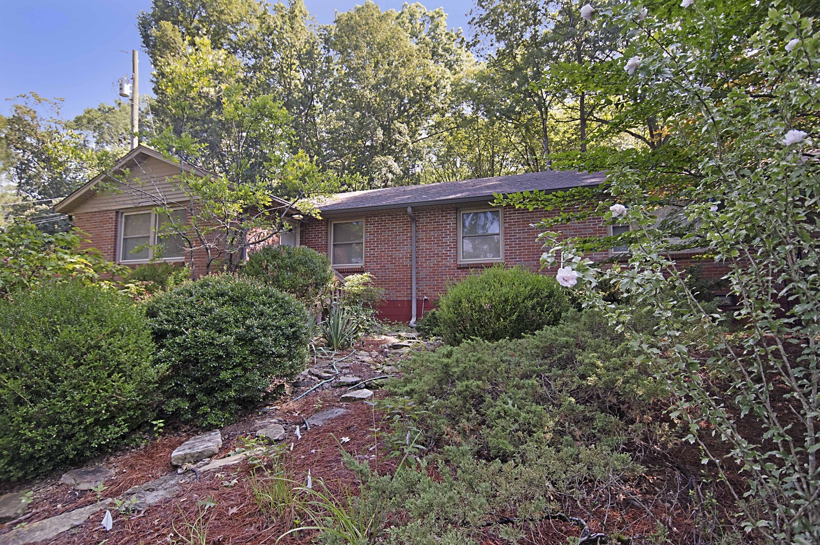936 Davidson Dr
