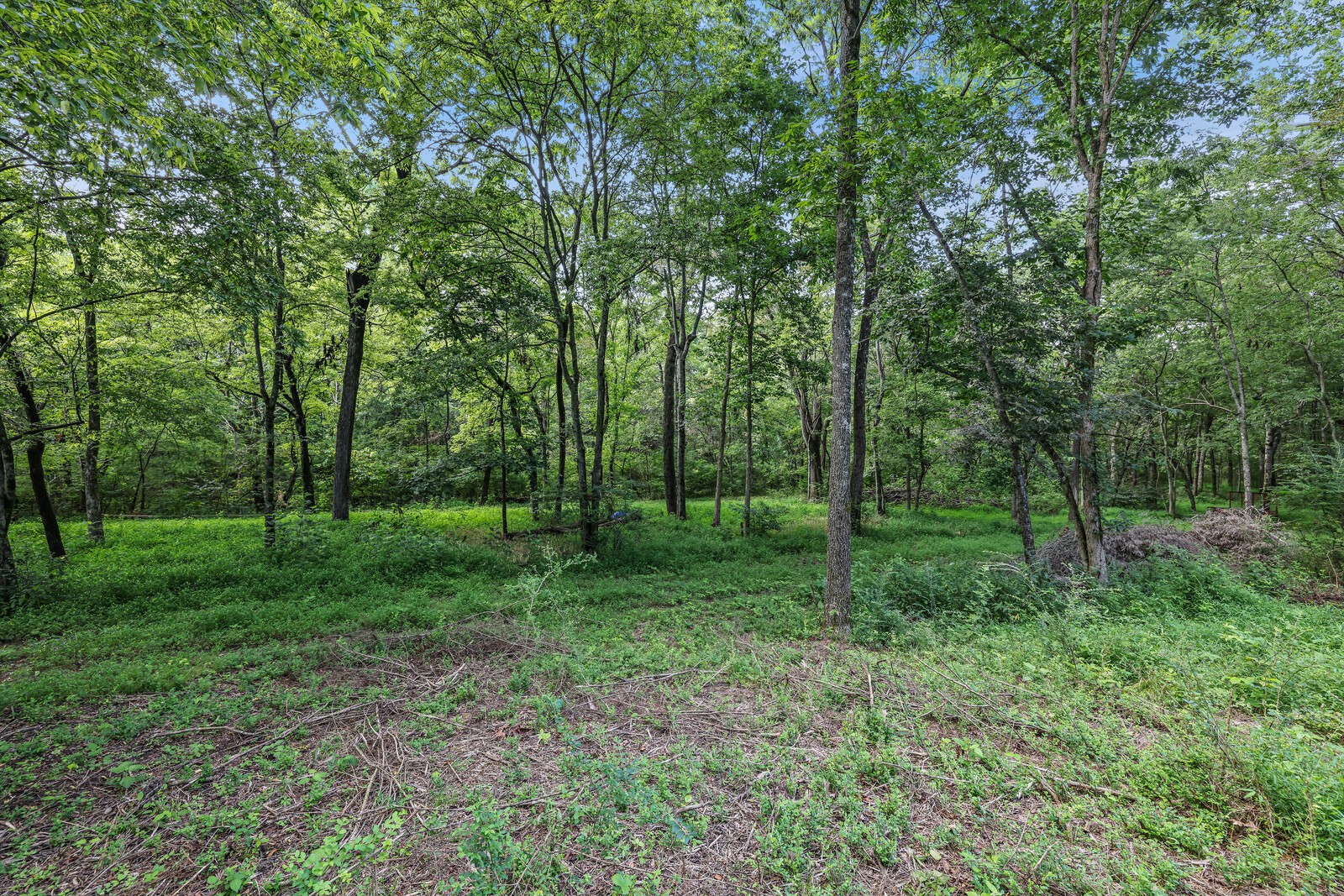 1408 Wallace Rd