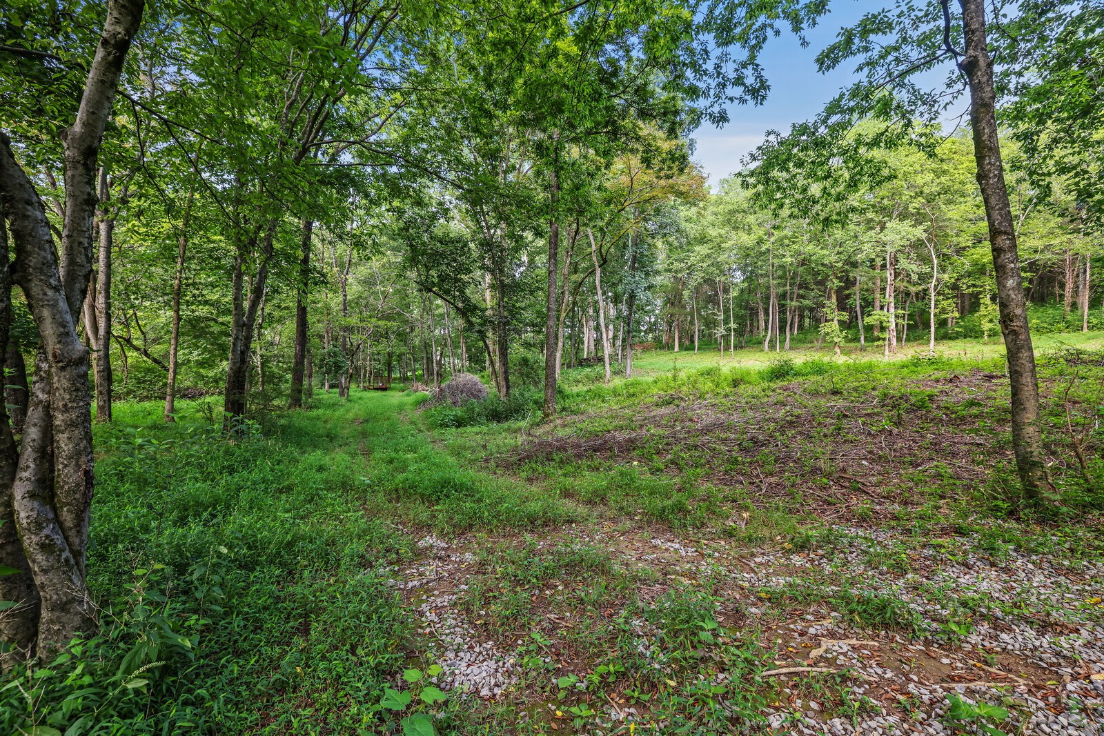 1408 Wallace Rd