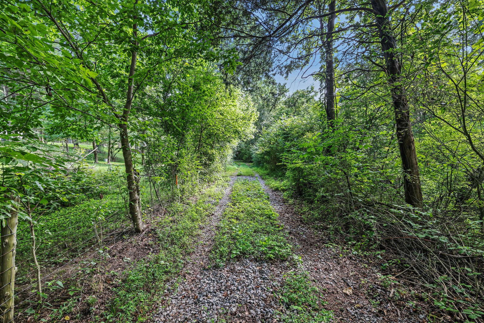 1408 Wallace Rd