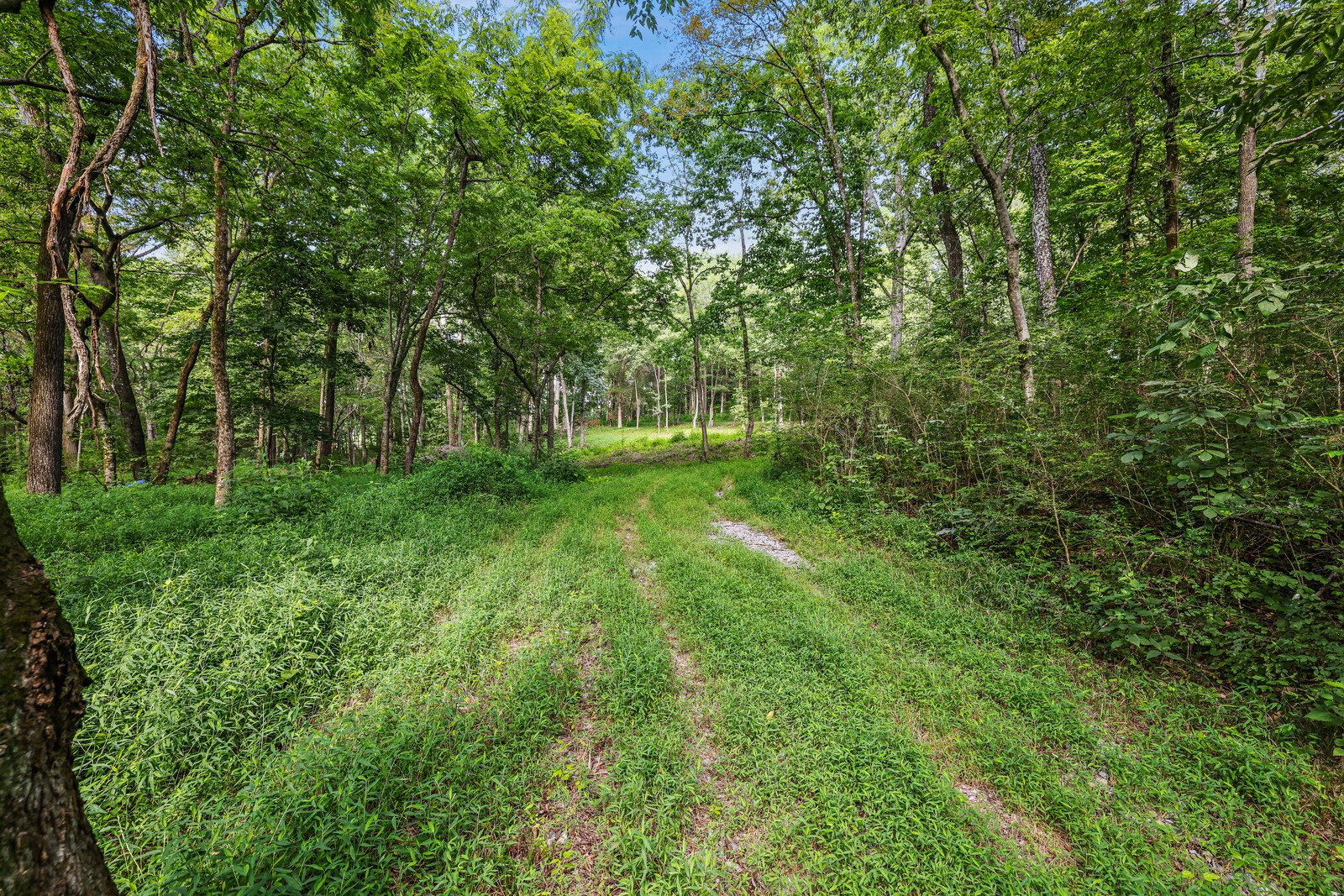 1408 Wallace Rd