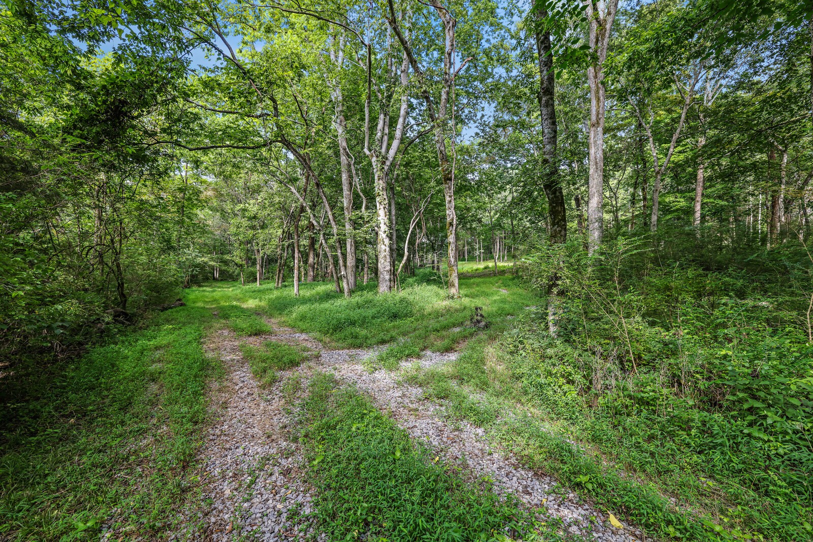 1408 Wallace Rd