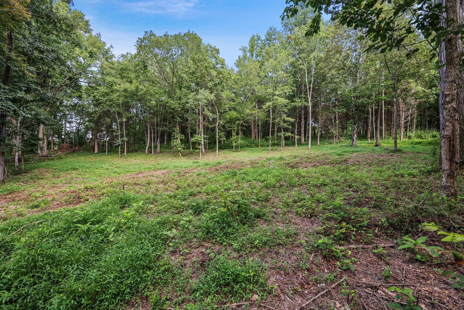 1408 Wallace Rd