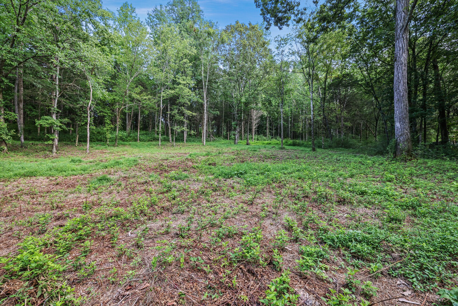 1408 Wallace Rd