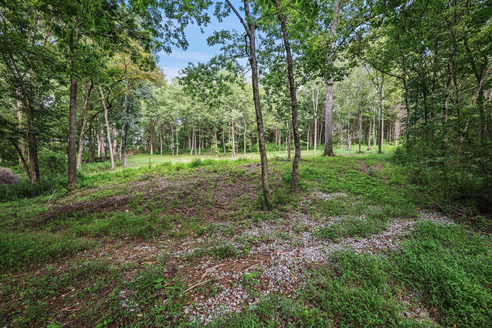 1408 Wallace Rd