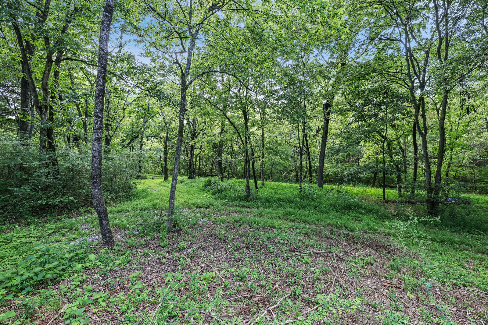 1408 Wallace Rd