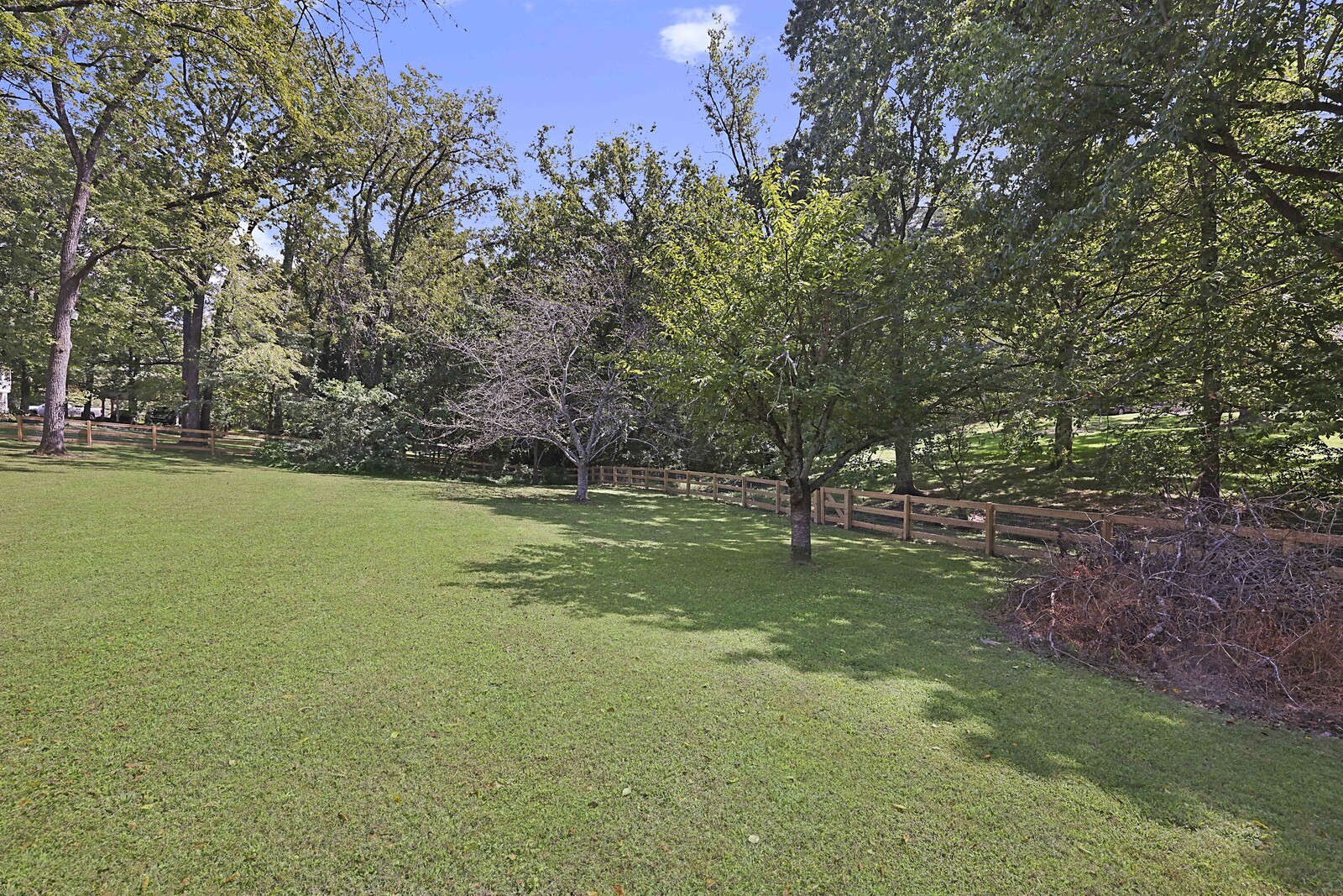 306 Woodlawn Dr