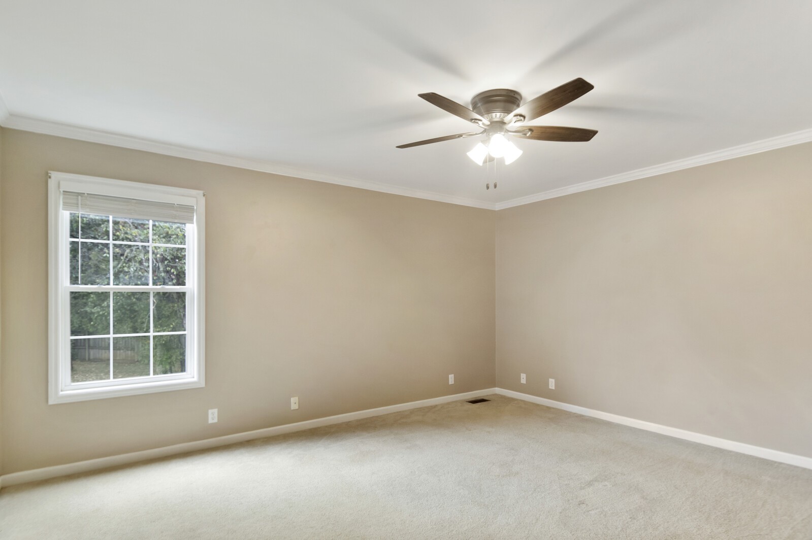 116 Calloway Ln