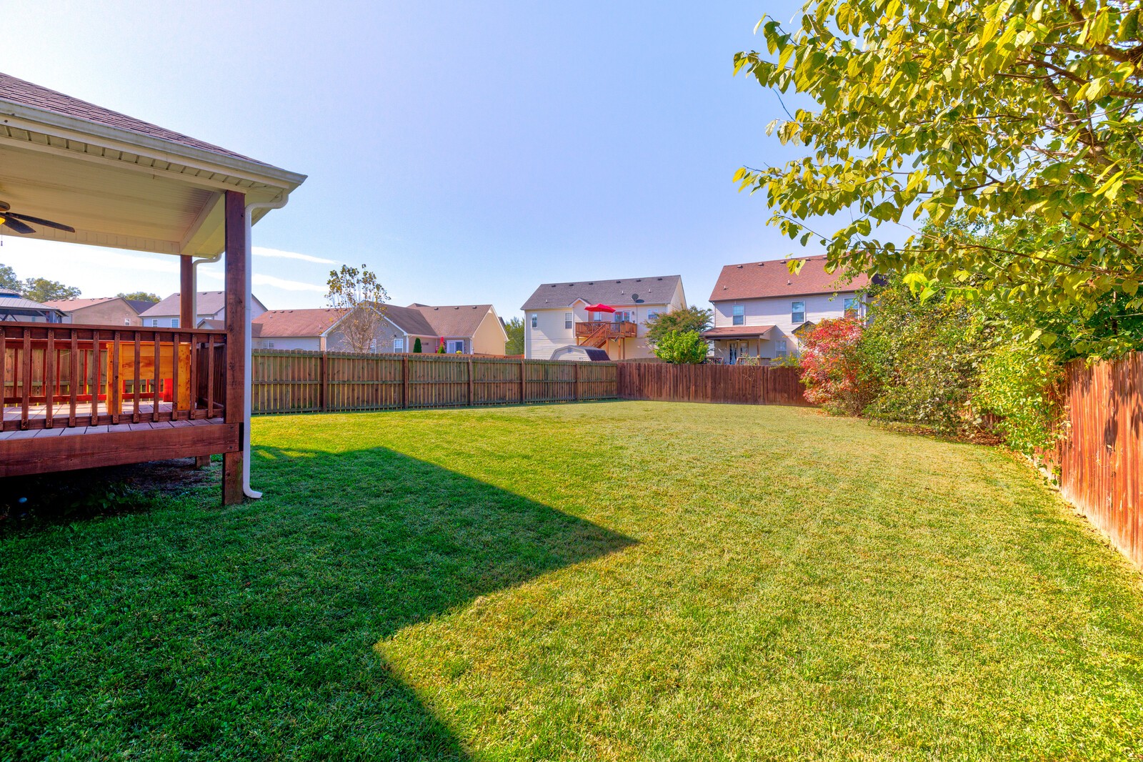 3626 Fox Tail Dr