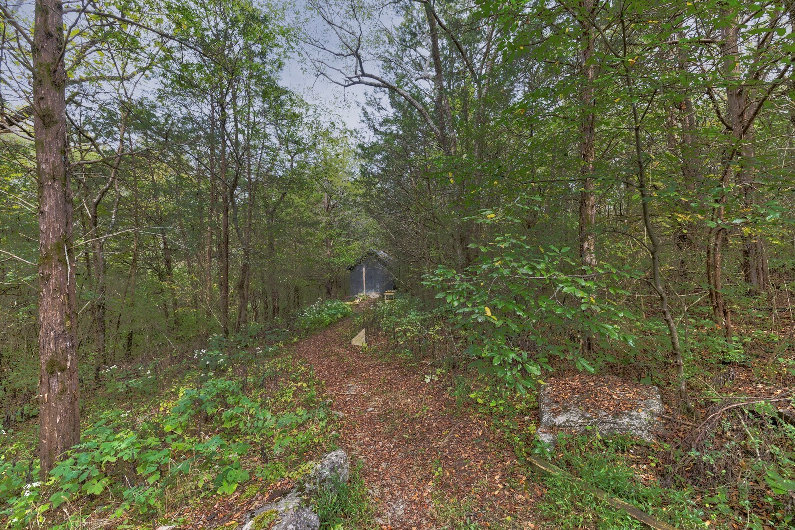 1078 N Dickerson Chapel Rd