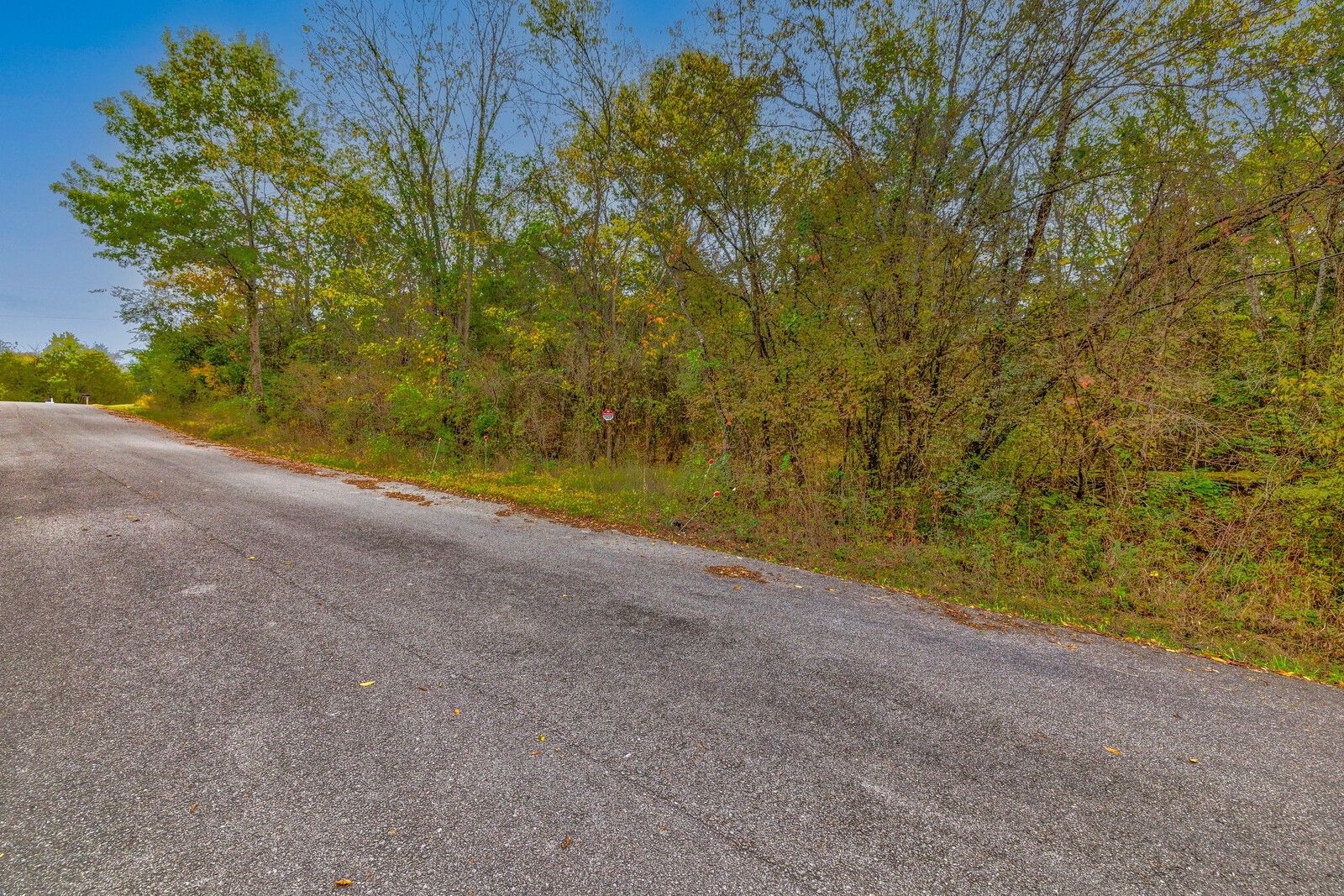 97 Jones Rd