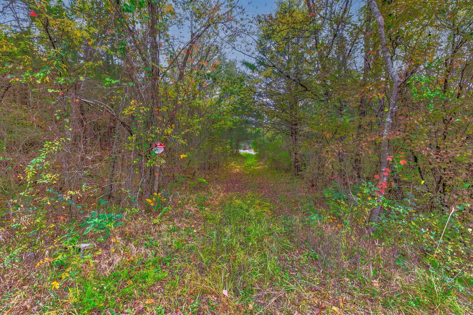 97 Jones Rd