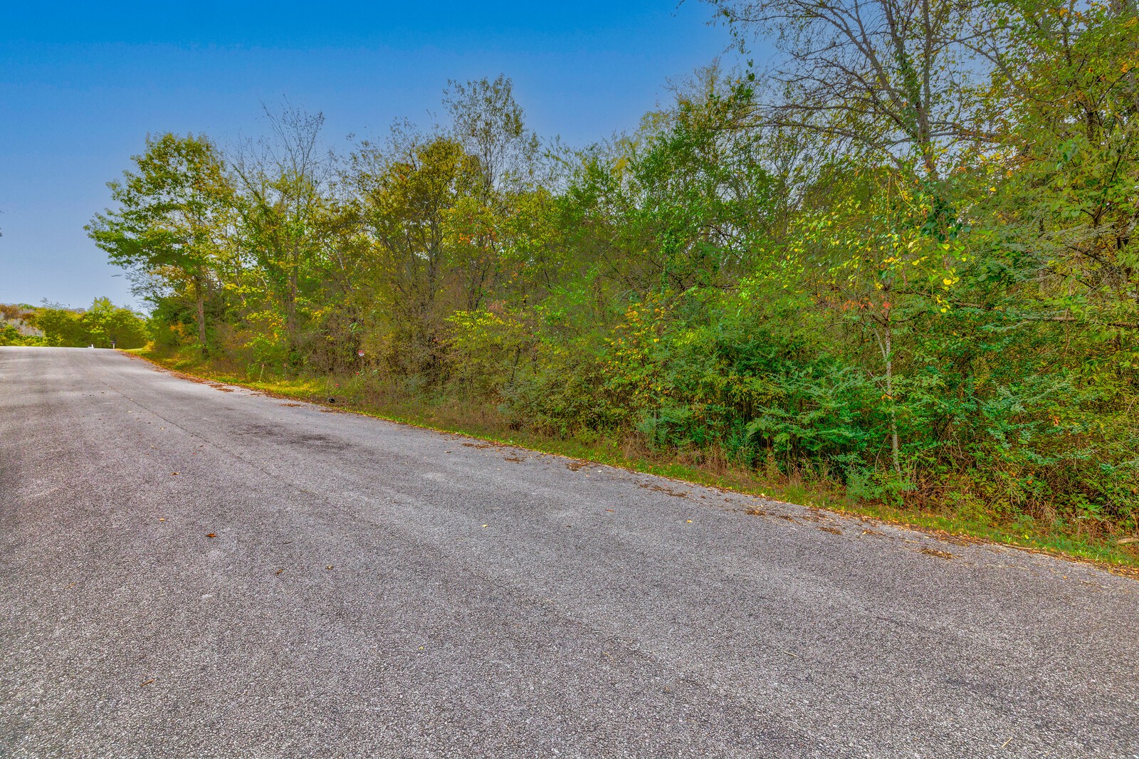 97 Jones Rd