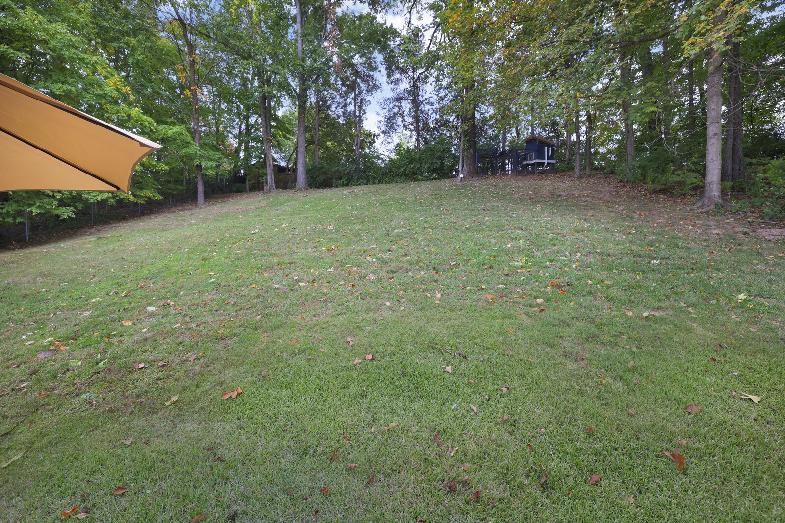 1017 Fitzpatrick Rd