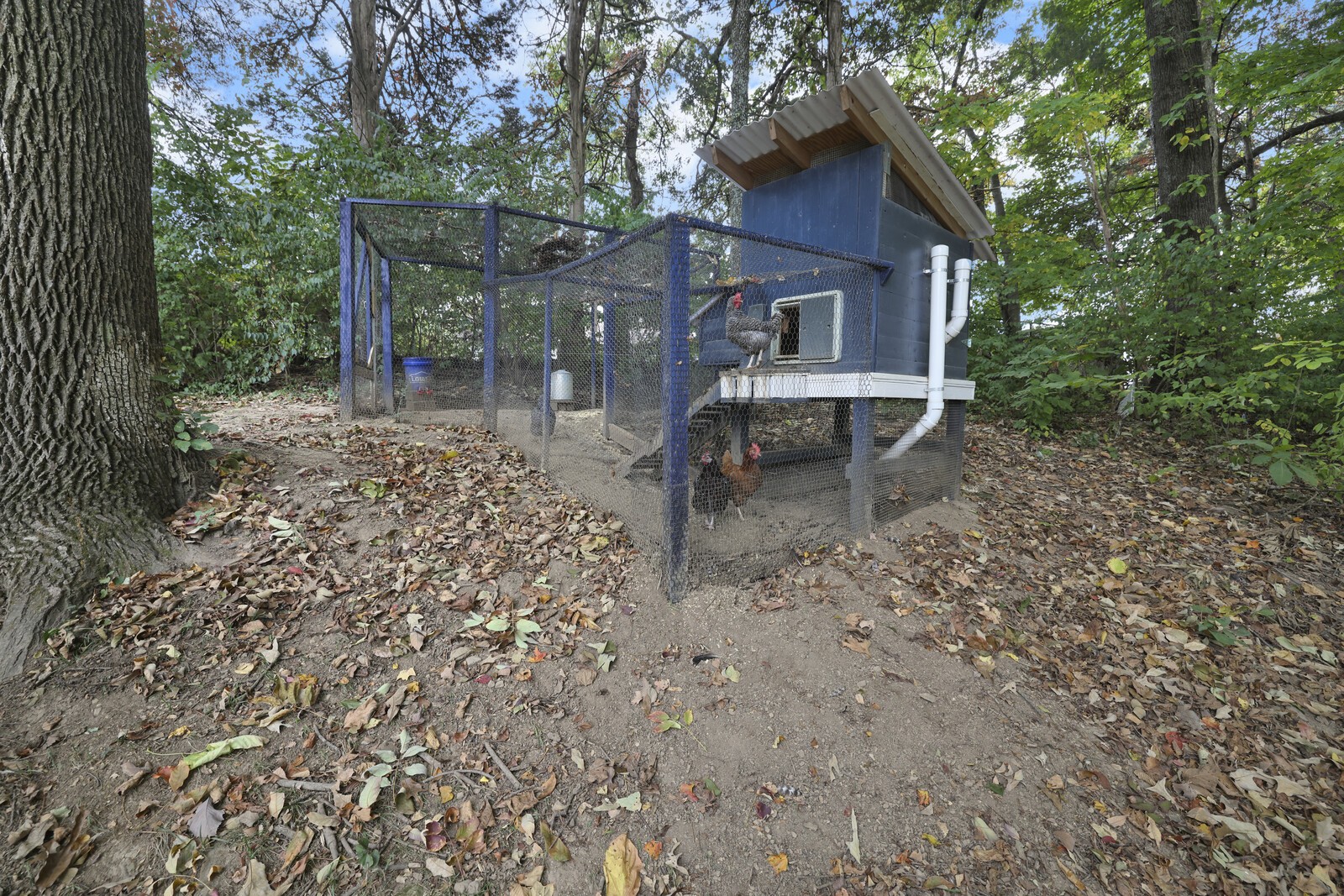 1017 Fitzpatrick Rd