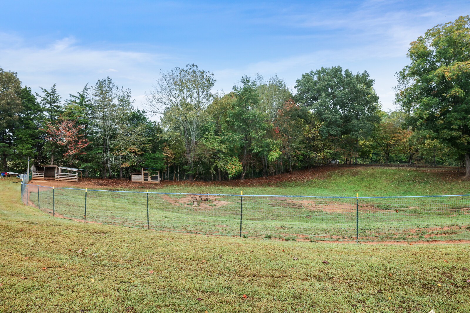 665 Jr Witt Rd