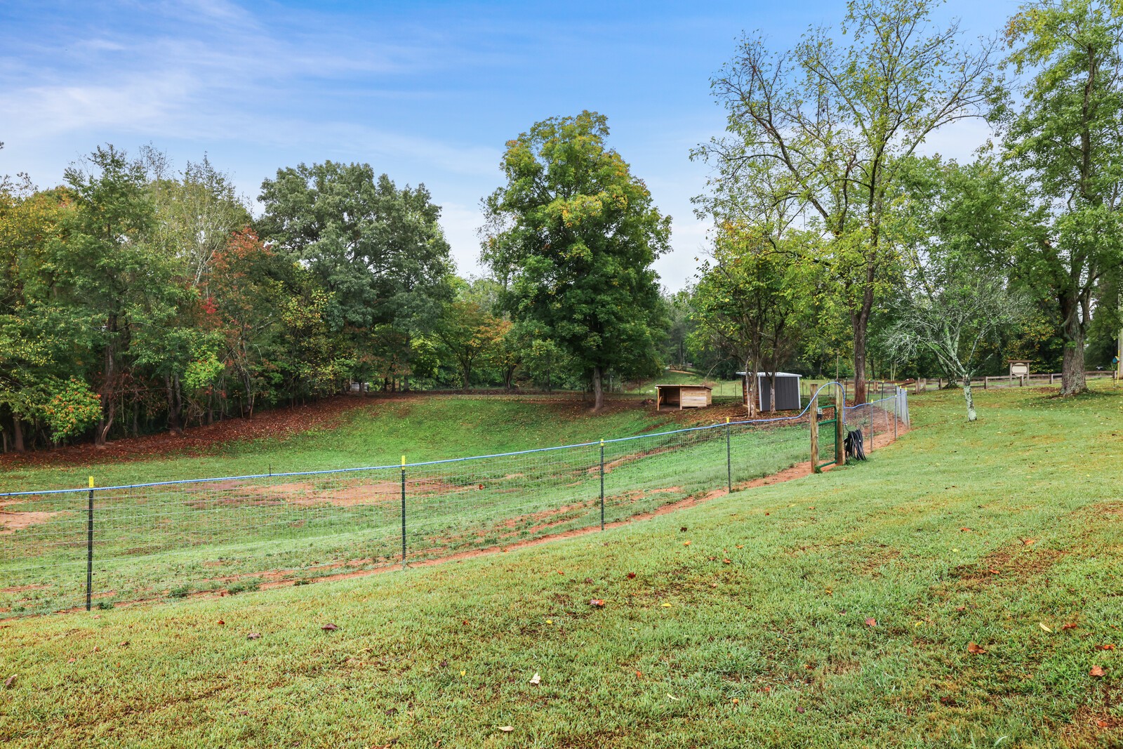 665 Jr Witt Rd