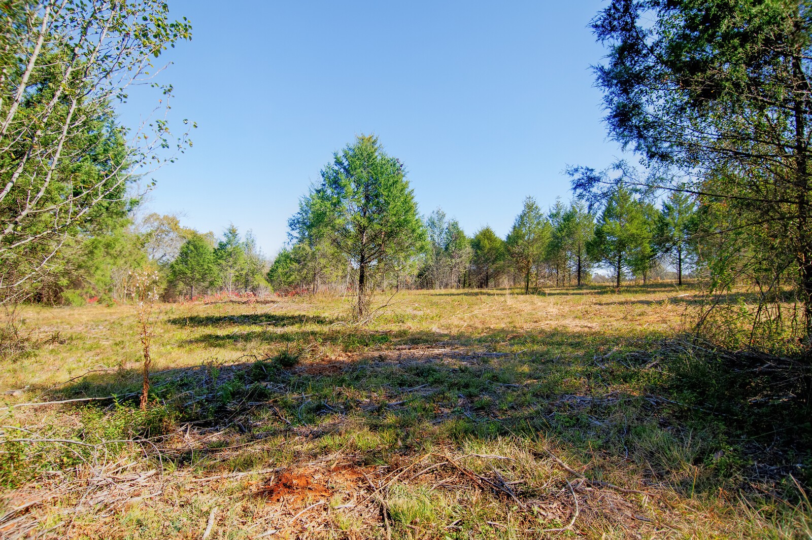 1100 Old Hwy 50A