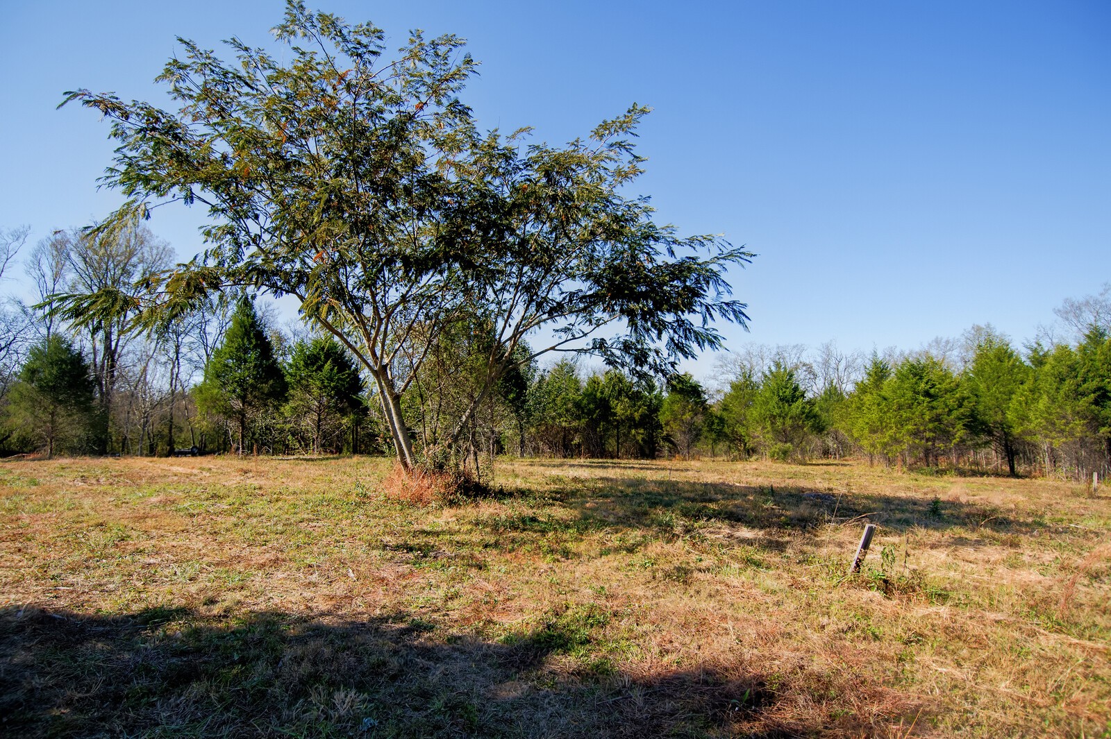 1100 Old Hwy 50A