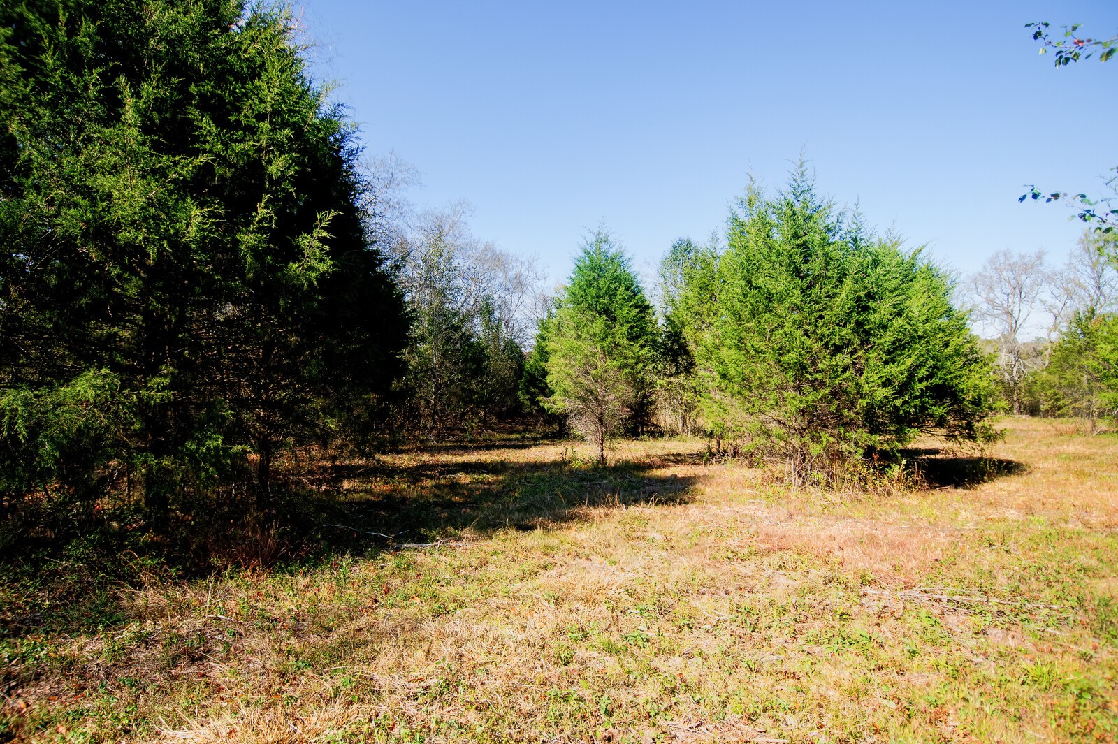 1100 Old Hwy 50A