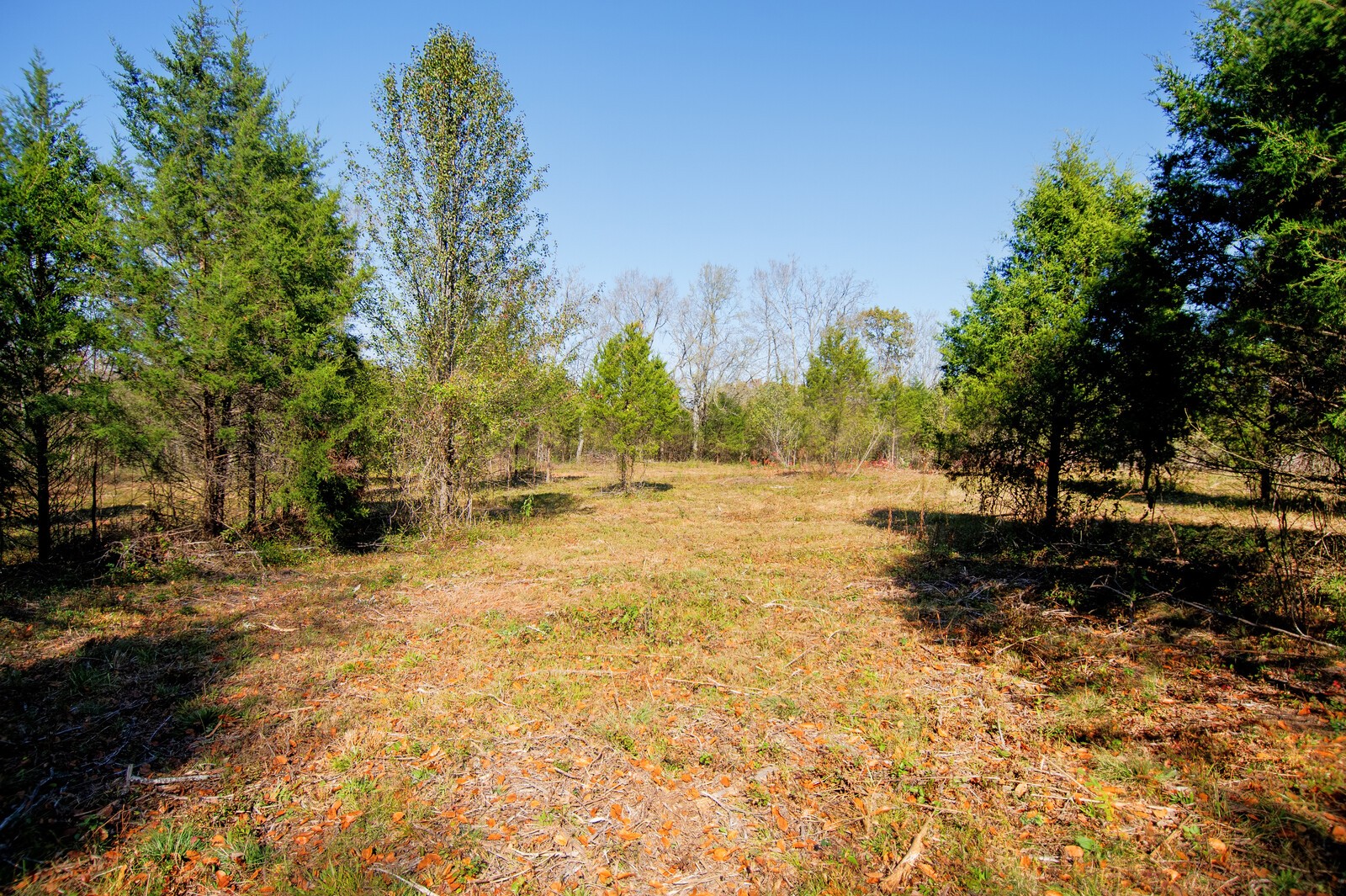 1100 Old Hwy 50A