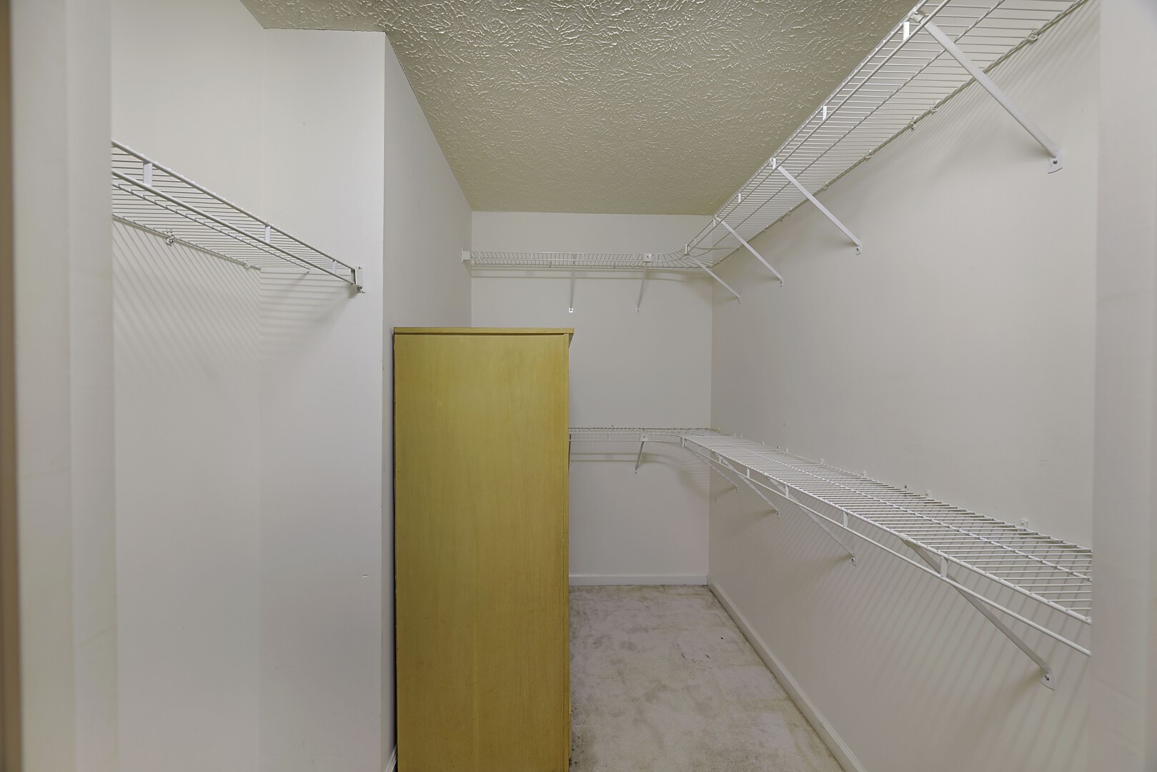 223 Saint Pauls Ln