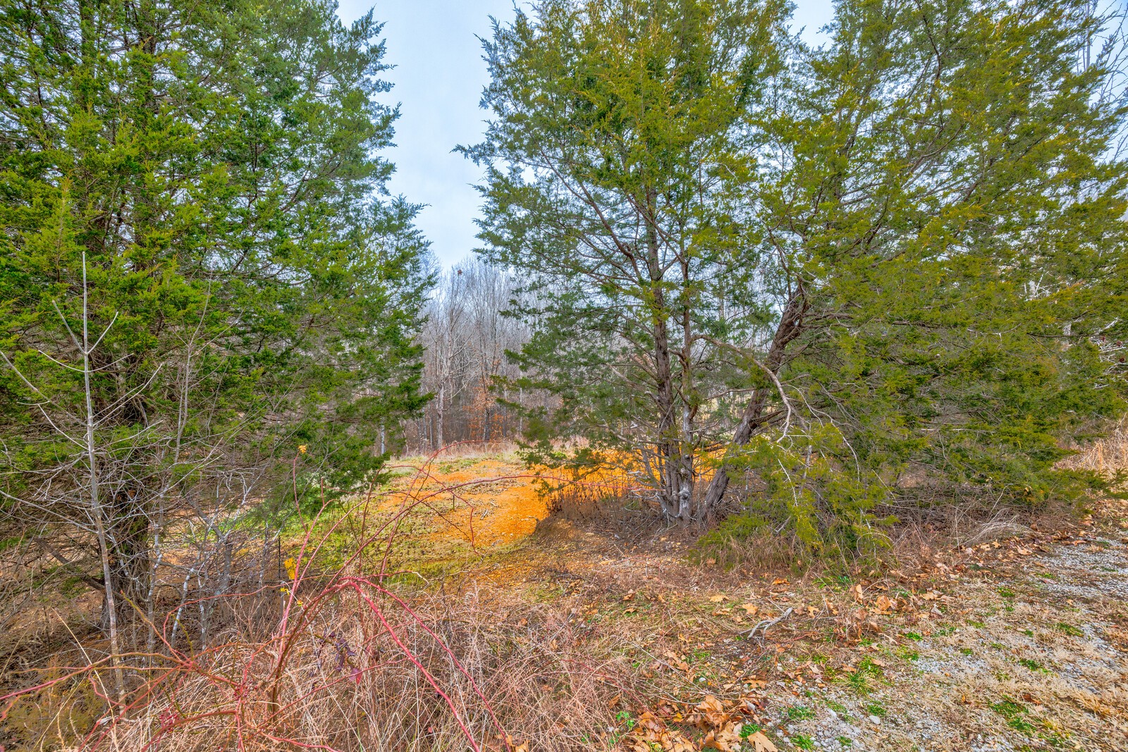 1104 Jacobs Ct