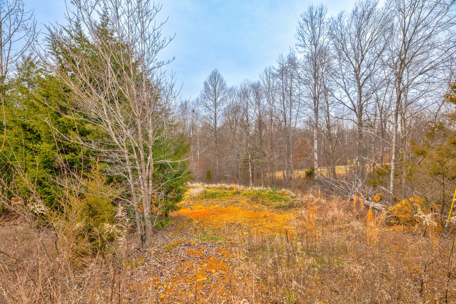 1104 Jacobs Ct