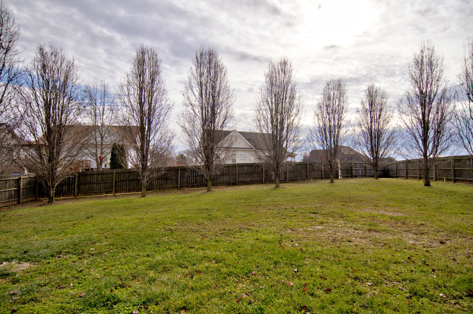 2837 Brewster Dr