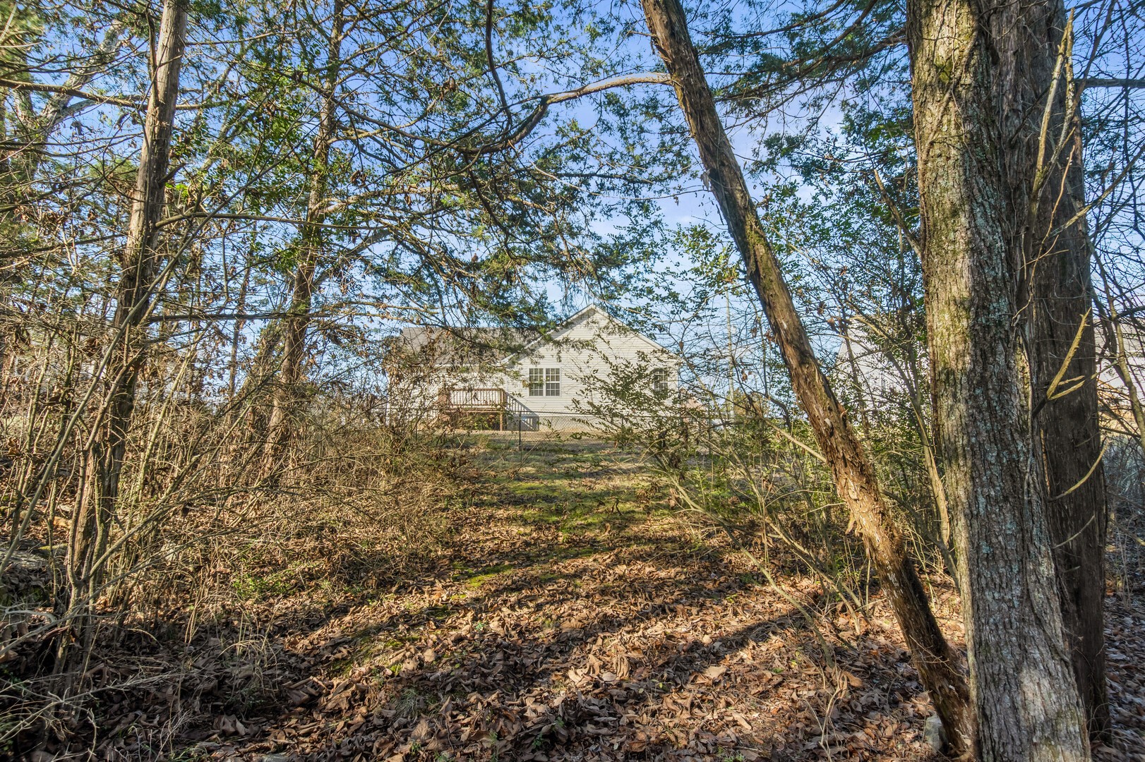 905 Fall Creek Dr