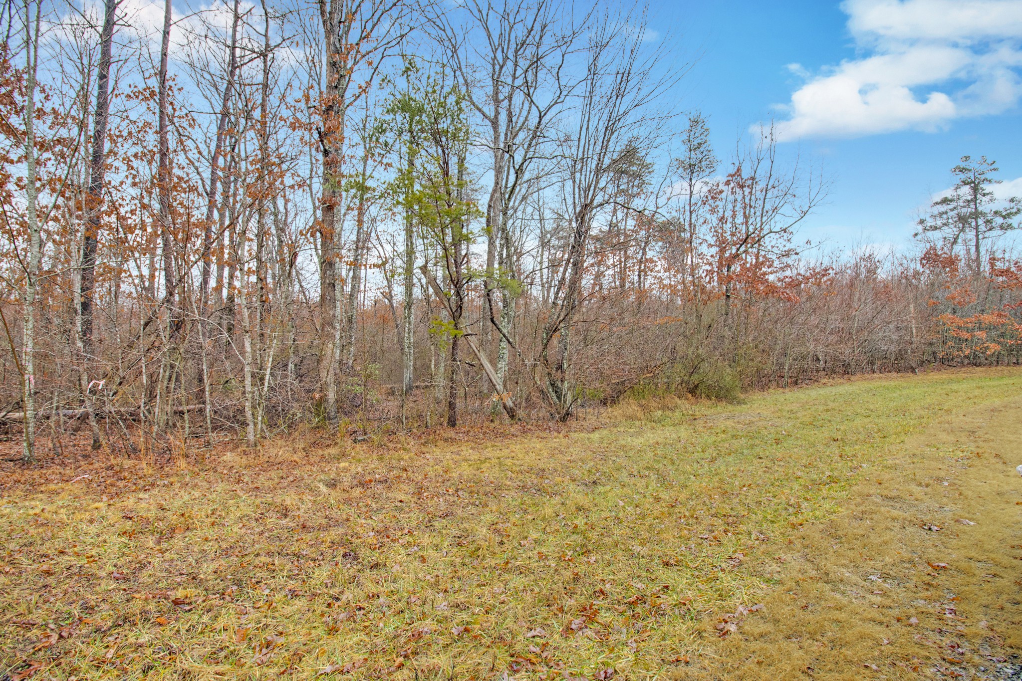 0 Mountain Ash Drive