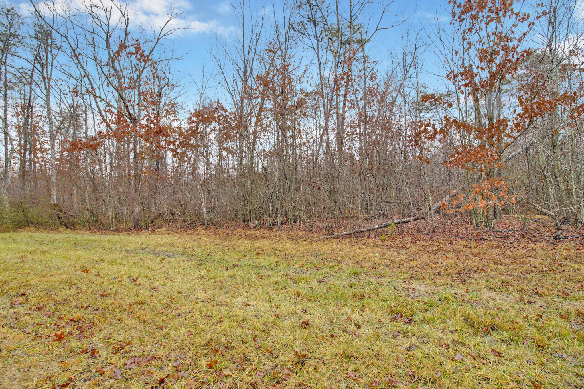 0 Mountain Ash Drive