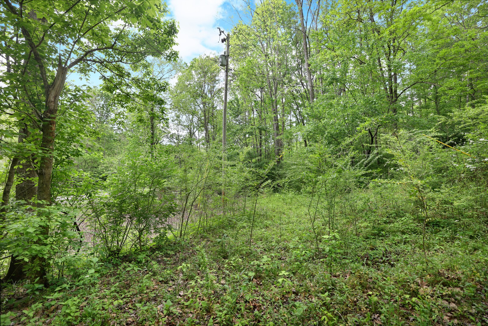 7210 Brush Creek Rd