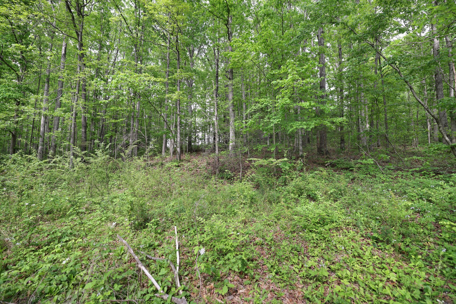 7210 Brush Creek Rd