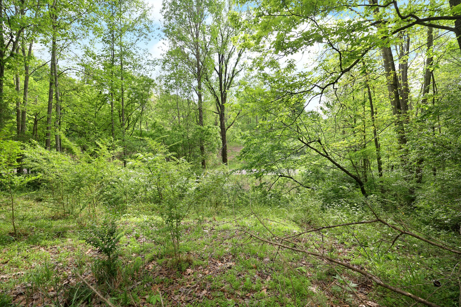 7210 Brush Creek Rd