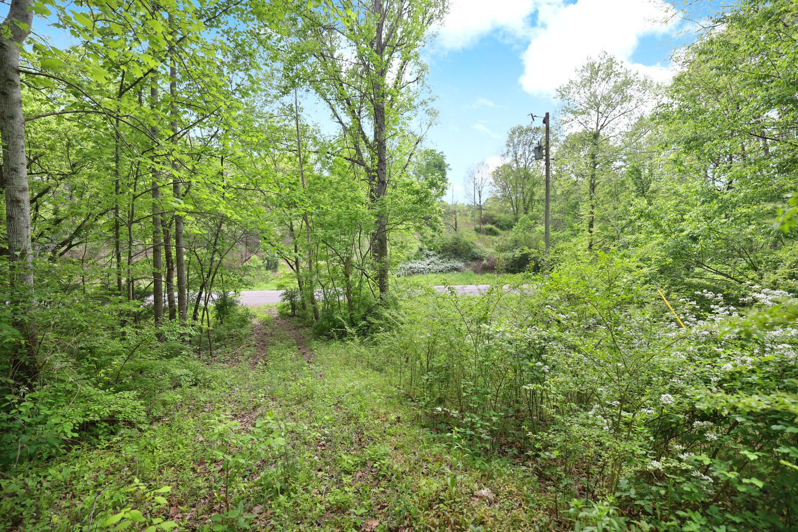 7210 Brush Creek Rd