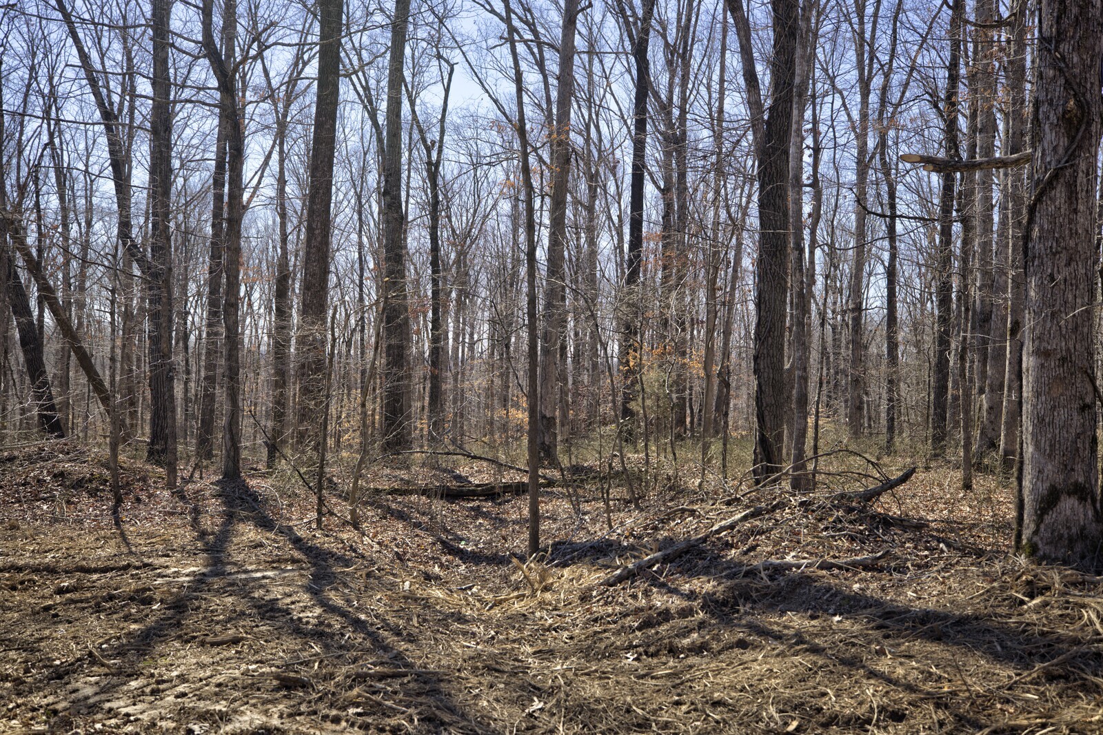 2 Keel Hollow Ln