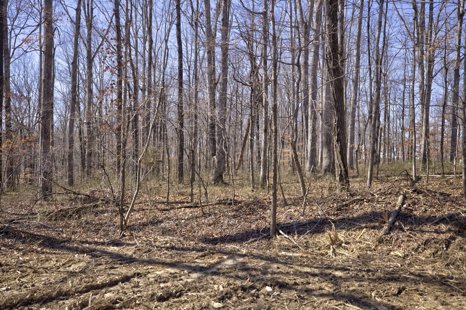 2 Keel Hollow Ln